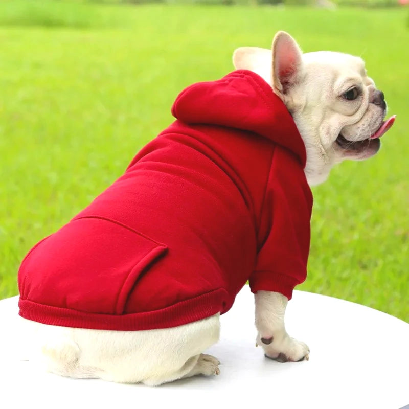 Orange FanzyMarket winter hoodie pet coat for dogs and cats with hood and pocket, soft polyester, fits small to large breeds like Chihuahua.