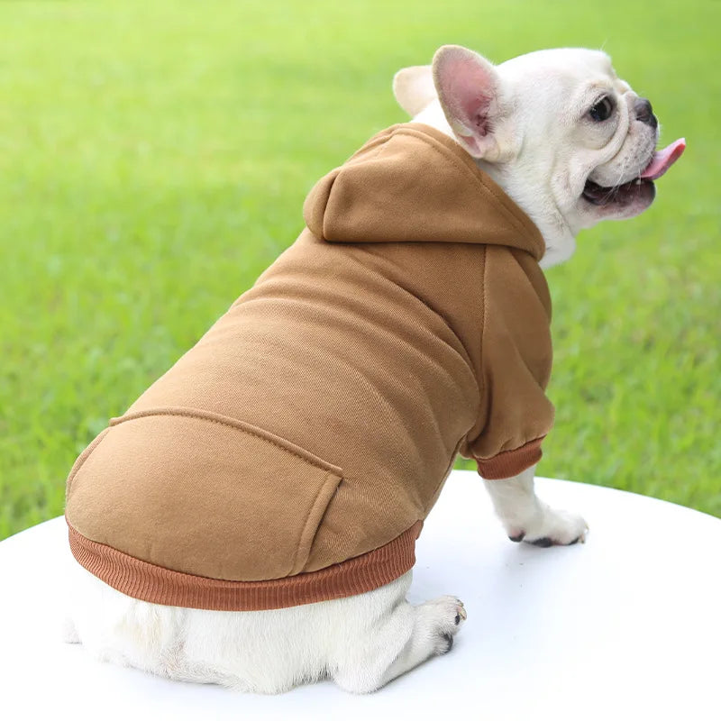 FanzyMarket winter hoodie pet coat for dogs and cats, soft polyester puppy jacket with hood and pocket, fits small to large breeds like Chihuahua.