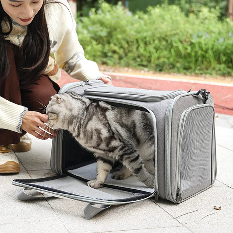Pink FanzyMarket soft-sided pet carrier backpack for dogs and cats, airline approved, foldable nylon, XL size, portable and lightweight.