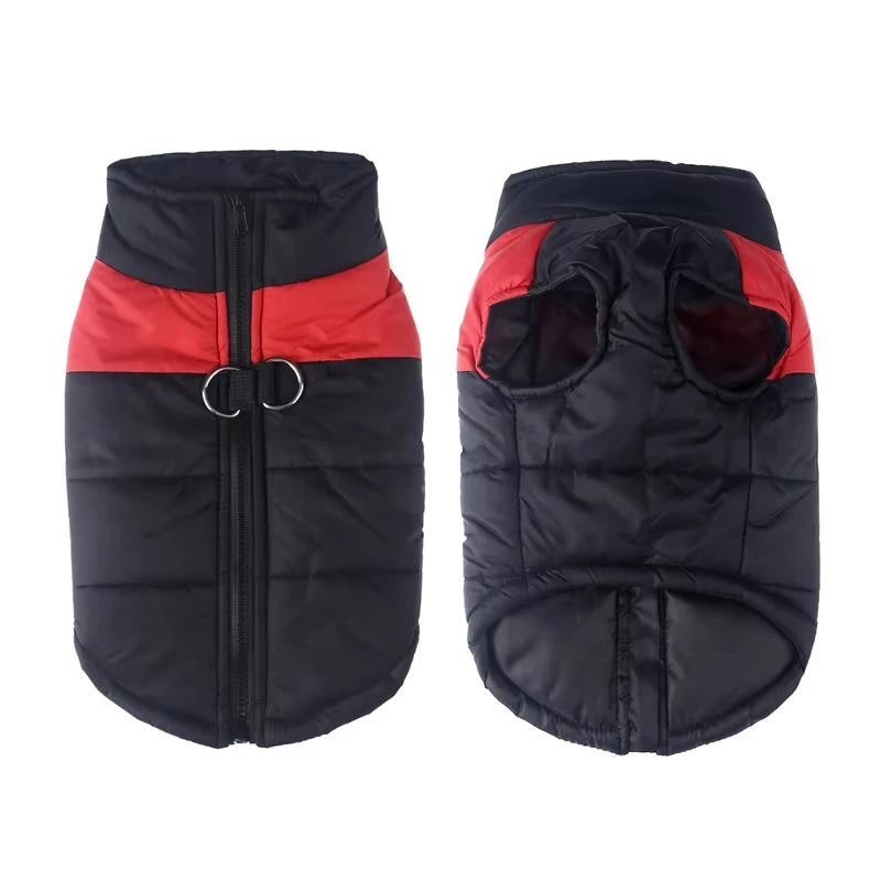 Purple waterproof winter dog jacket by FanzyMarket with D-ring, windproof and warm, available in XS to 6XL for small to large breeds.