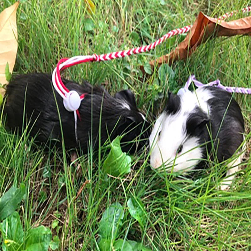 FanzyMarket adjustable hamster harness leash with nylon rope for rats, mice, and gerbils, available in 1.4m and 2.0m lengths.