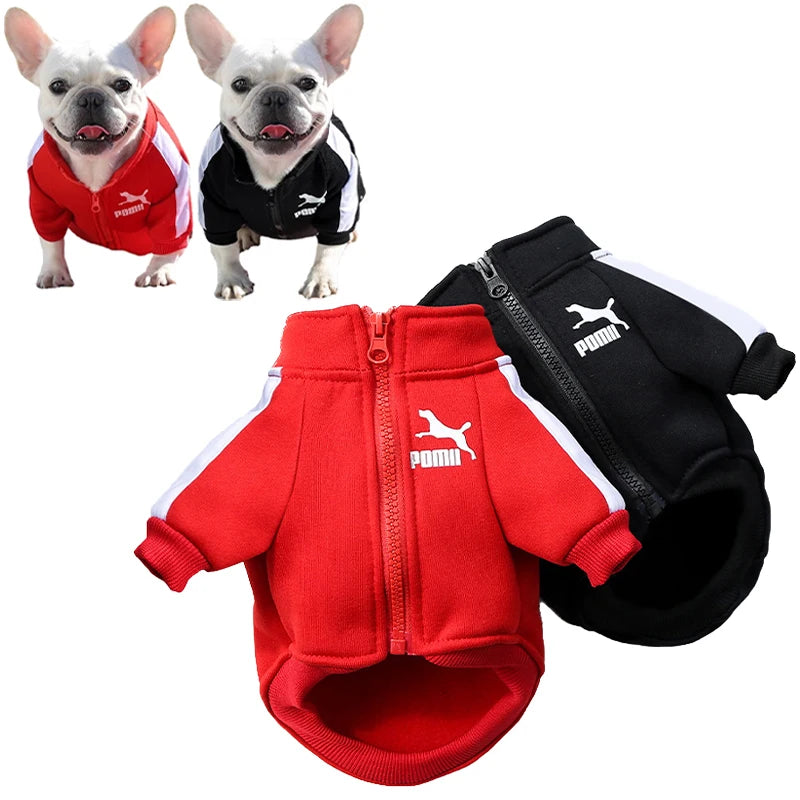Red baseball pullover dog hoodie for small to medium French Bulldog, Chihuahua, and Pug puppies, cozy winter jacket by FanzyMarket.