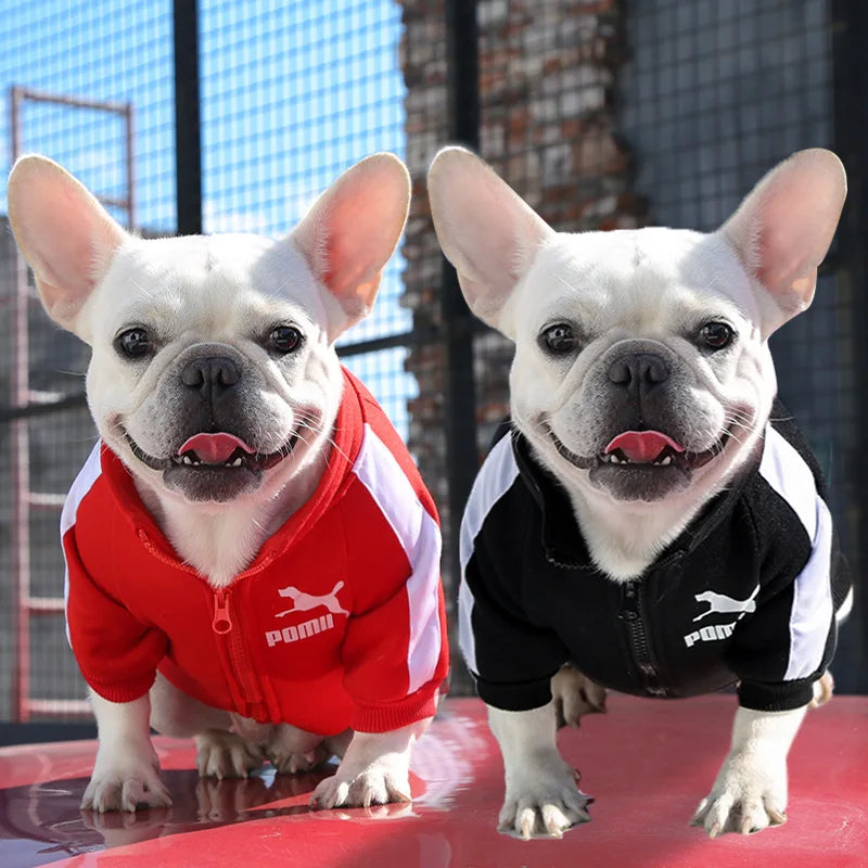 Red baseball pullover dog hoodie for small and medium dogs, French Bulldog, Chihuahua, Pug winter jacket, FanzyMarket pet apparel.