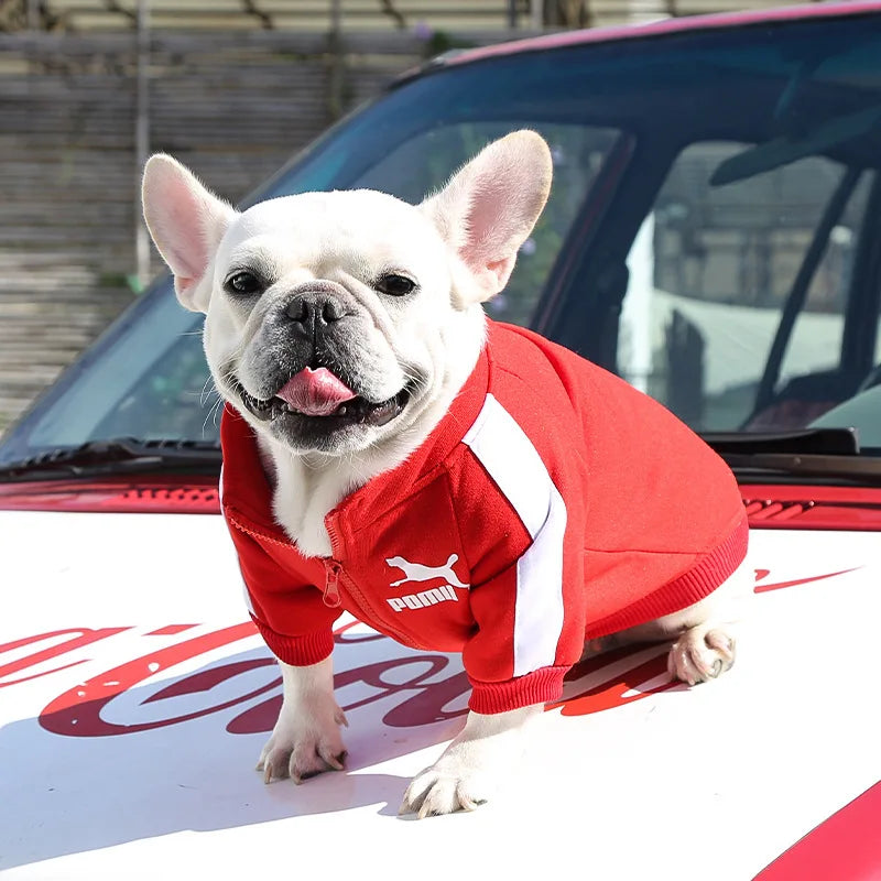 Red baseball pullover dog hoodie for small and medium dogs, suitable for French Bulldogs, Chihuahuas, and Pugs in winter.