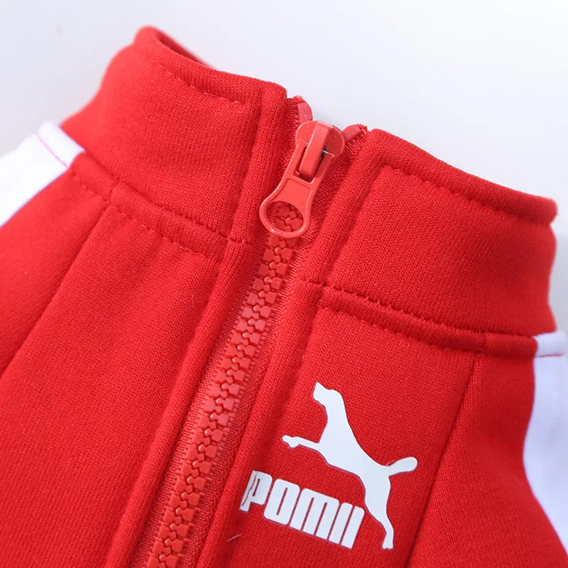 Red baseball pullover dog hoodie for small to medium dogs, French Bulldog, Chihuahua, Pug puppy coat, winter jacket by FanzyMarket.