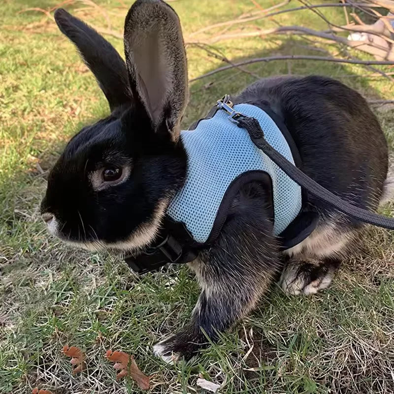 Red breathable mesh pet harness with adjustable soft straps and elastic leash for rabbits, cats, and small pets by FanzyMarket.