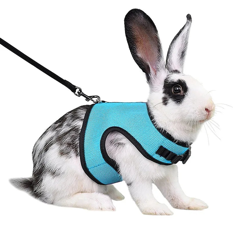 FanzyMarket breathable mesh pet harness with adjustable soft straps and elastic leash, suitable for rabbits, cats, and small pets.