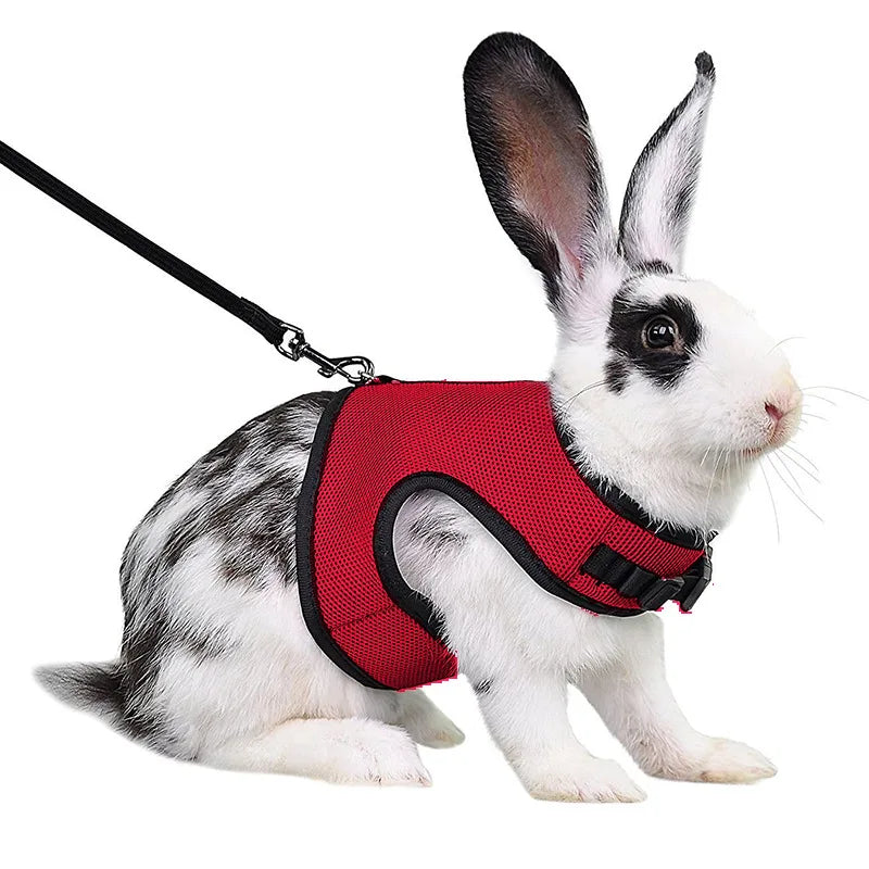 Red breathable mesh pet harness with soft adjustable straps and elastic leash for rabbits, cats, and small pets by FanzyMarket.