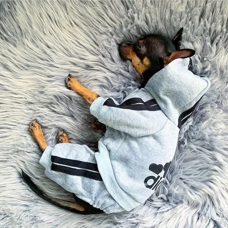 Red warm polyester dog jumpsuit for small and medium dogs like Chihuahua, Pug, and French Bulldog by FanzyMarket.