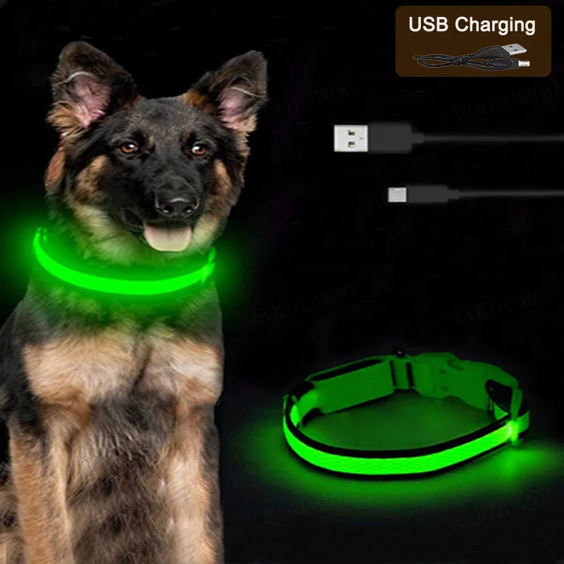 Red LED dog collar by FanzyMarket with adjustable strap, waterproof design, 3-light modes, USB rechargeable, suitable for cats and dogs.