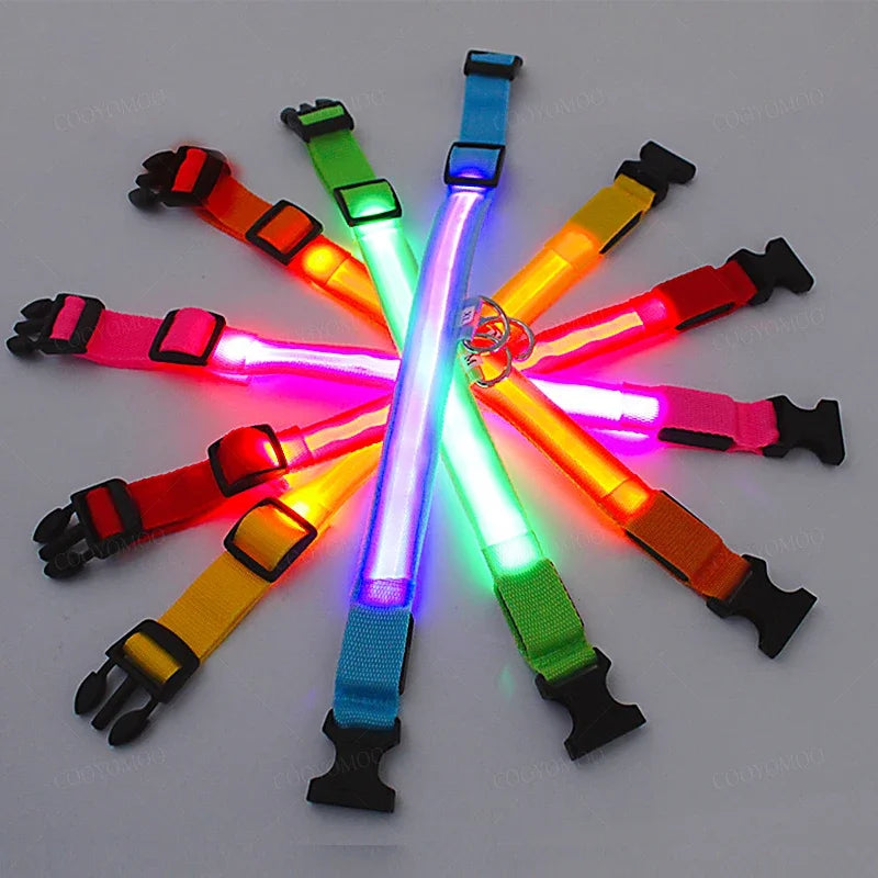 Red FanzyMarket LED dog collar with 3-mode glow light, adjustable, waterproof, USB rechargeable or battery-powered for night safety.