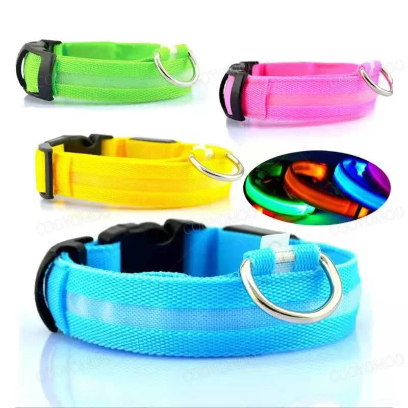 Red LED dog collar by FanzyMarket with 3-mode USB rechargeable glow light, adjustable waterproof safety collar for pets.