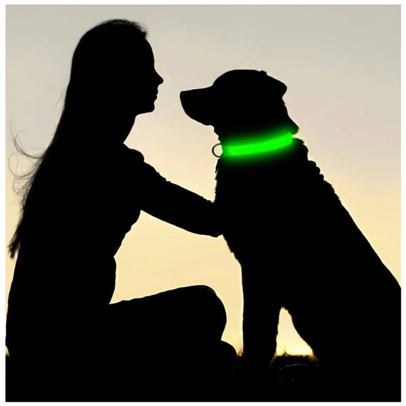 Red LED dog collar by FanzyMarket with 3 modes, USB rechargeable, waterproof, adjustable for night safety for cats and dogs.