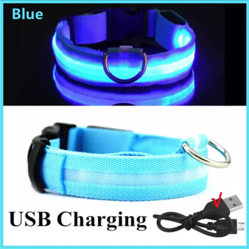 Red LED dog collar by FanzyMarket with 3-mode light, adjustable waterproof design, USB rechargeable or CR2032 battery for night safety.