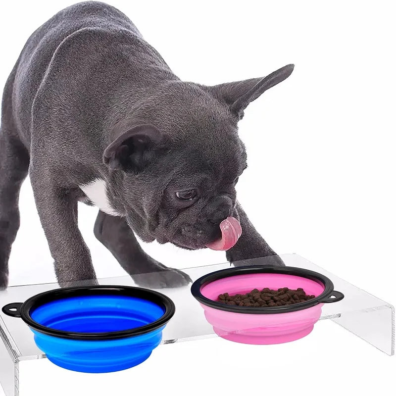 FanzyMarket collapsible silicone pet travel bowl with bottle and carabiner, 650ml capacity, for on-the-go food and water for pets.