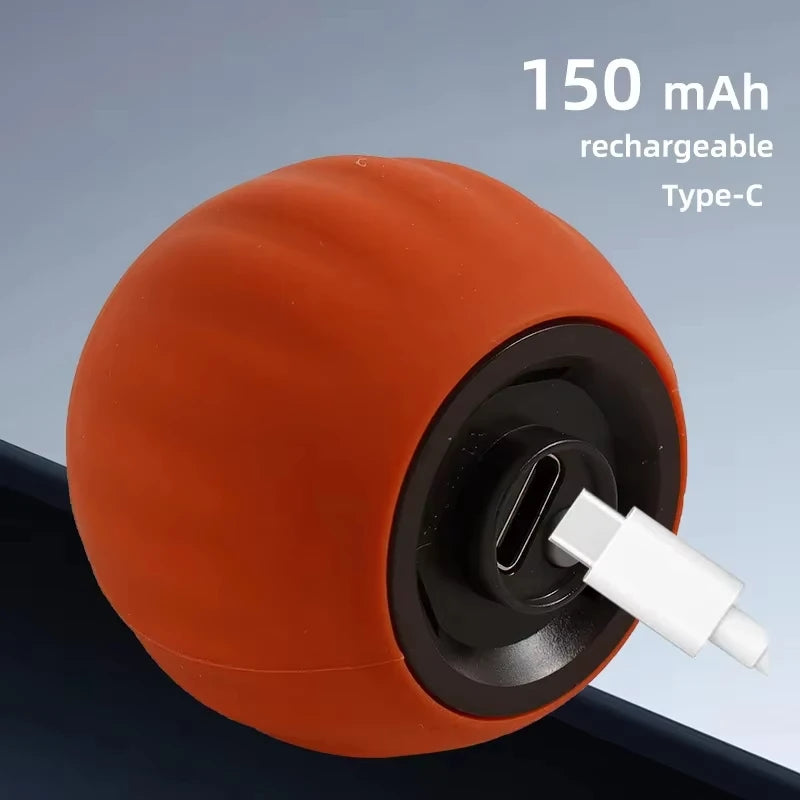 Grey rechargeable interactive rolling cat toy with faux tail, motion-activated ball for cats and small dogs by FanzyMarket.