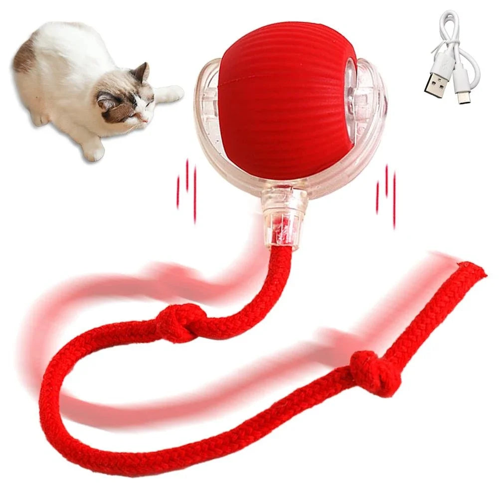 FanzyMarket rechargeable interactive rolling cat toy with faux tail and motion-activated ball, ideal for cats and small dogs.
