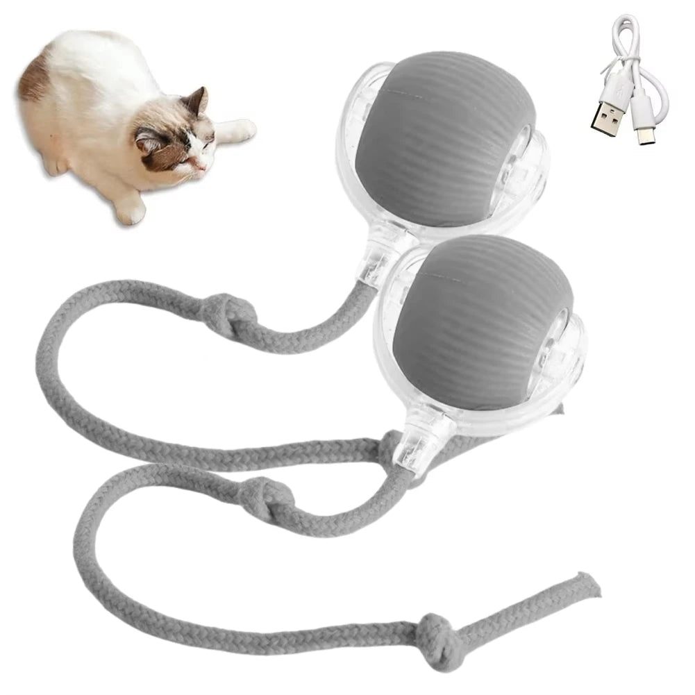 Grey rechargeable interactive rolling cat toy with faux tail and motion-activated ball, designed for cats and small dogs by FanzyMarket.