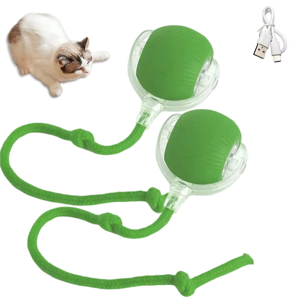 Rechargeable interactive rolling cat toy with faux tail and motion-activated ball, ideal for cats and small dogs, by FanzyMarket.