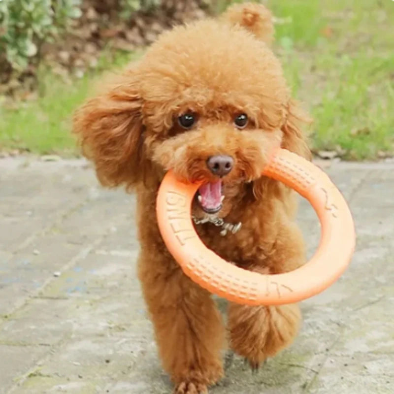 Orange dog flying disc and training puller toy from FanzyMarket, durable EVA material, ideal for puppies to large dogs.