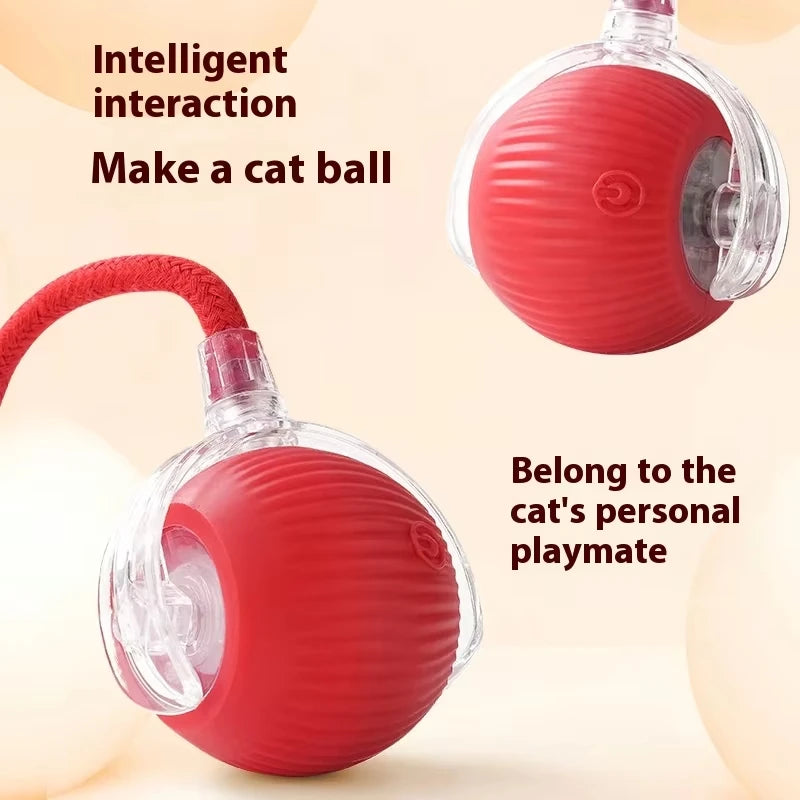 FanzyMarket rechargeable cat ball toy with faux fur tail, automatic rolling, USB-C powered, for cats and small dogs, interactive pet toy.