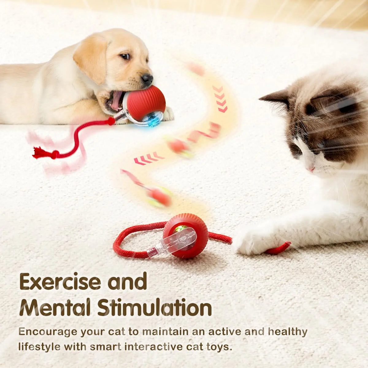 Interactive rechargeable cat and small dog toy ball with faux fur tail, automatic rolling, USB-C charging, from FanzyMarket pet supplies.