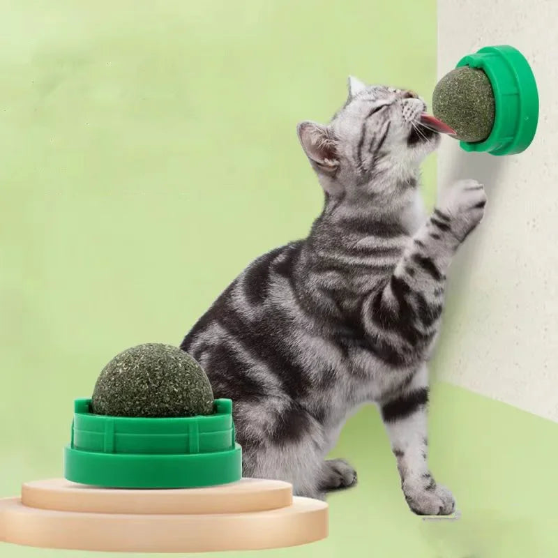 FanzyMarket wall-mounted catnip ball toy for cats, interactive self-rotating toy with mint ball and base for scratching and dental health.