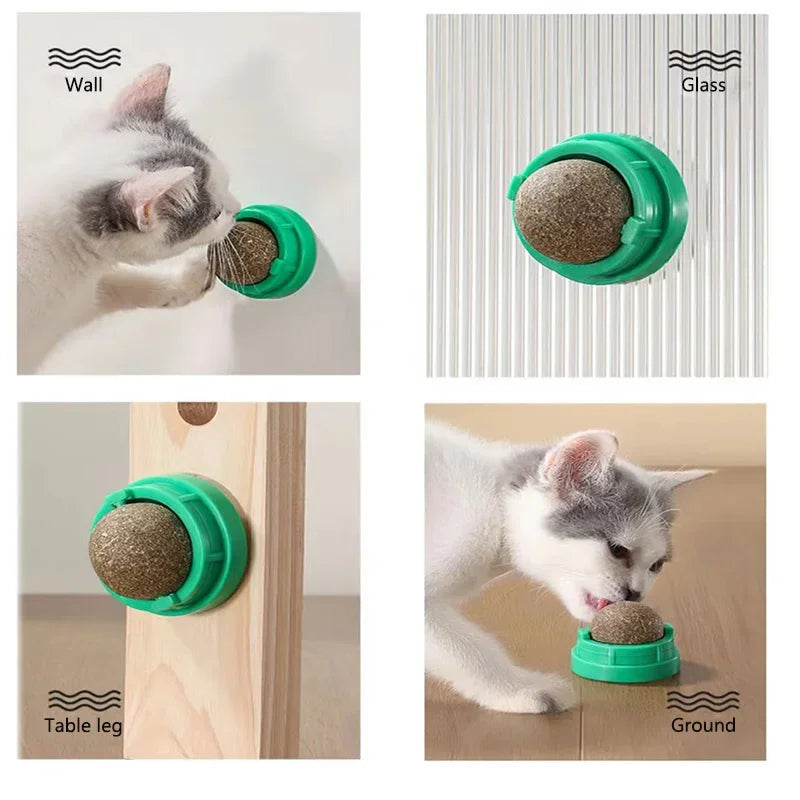 FanzyMarket wall-mounted catnip ball toy for cats, with mint ball and base, features self-rotating action for scratching and dental health.