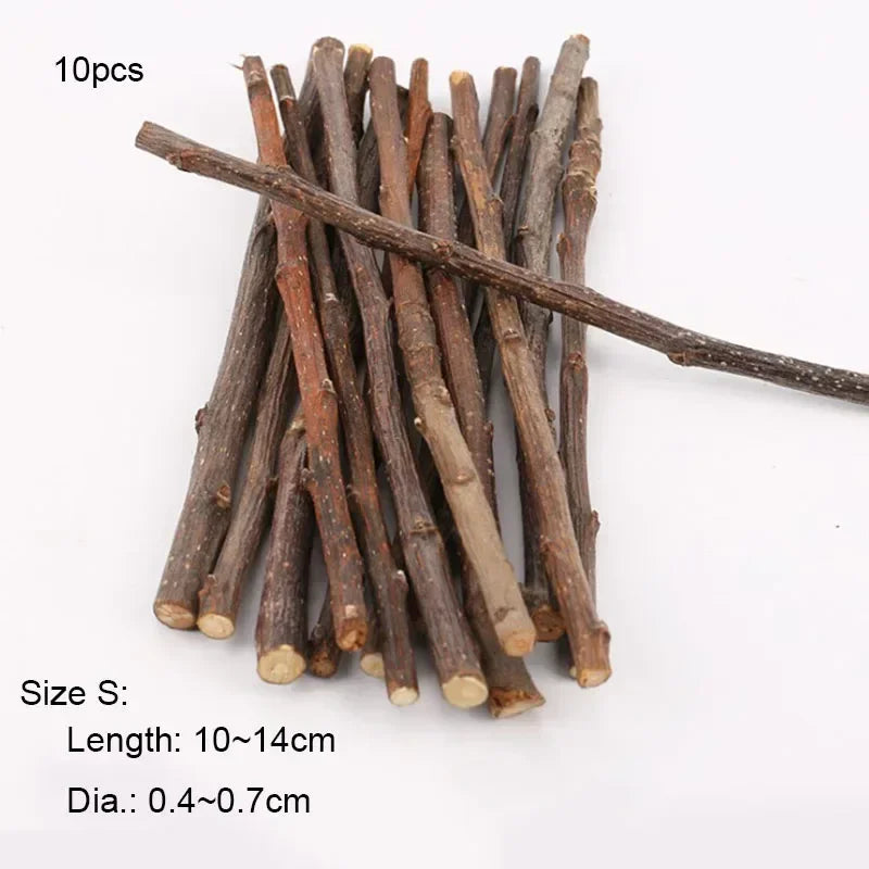 Natural apple wood chew sticks for small pets like hamsters, rabbits, chinchillas, squirrels, and parrots, ideal as dental toys.