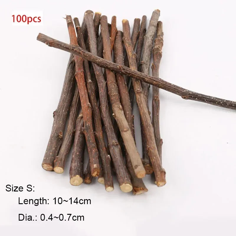 FanzyMarket natural apple wood chew sticks for small pets like hamsters, rabbits, chinchillas, squirrels, and parrots, in 5/10/40 pack.