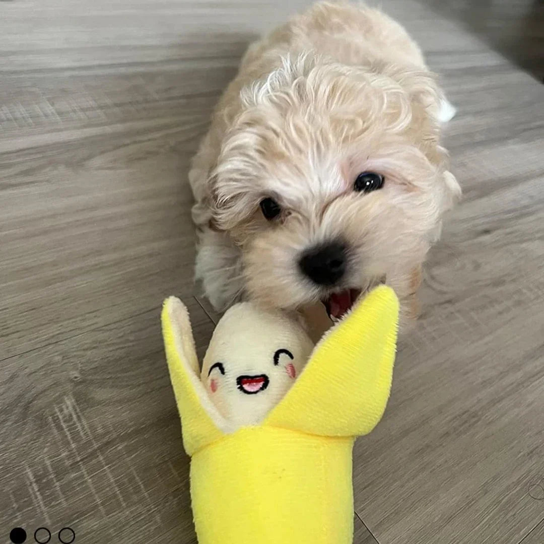 Seven-piece plush puppy squeaky toy set featuring fruit and vegetable designs for dogs, from FanzyMarket pet supplies.