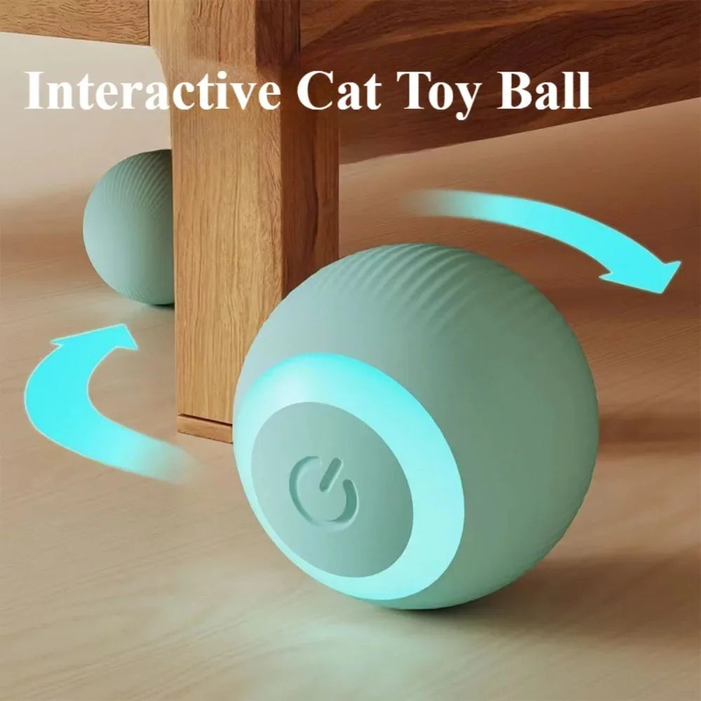 Rechargeable self-moving rolling ball cat toy by FanzyMarket, interactive indoor toy for kittens and cats with vibrant colors and motion.