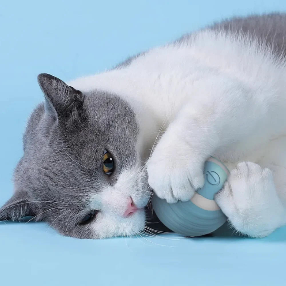 FanzyMarket rechargeable self-moving rolling ball cat toy for kittens and cats, designed for interactive indoor play.
