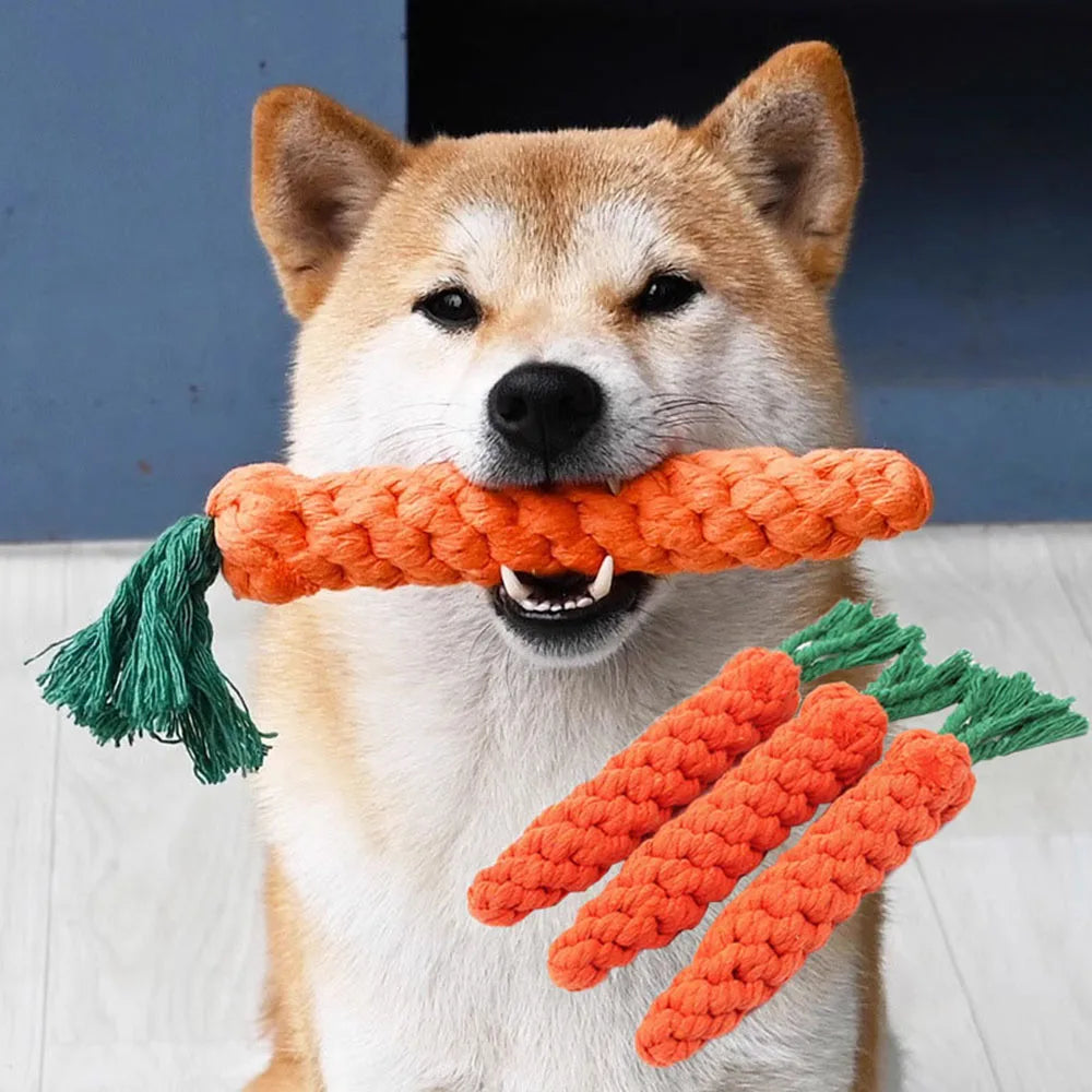 FanzyMarket Carrot Rope Dog Toy, 8.7-inch durable braided cotton chew toy for puppies and dogs for teeth cleaning.