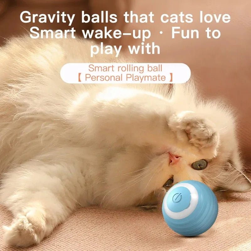 FanzyMarket automatic interactive rolling cat ball toy for kittens, blue electronic self-moving pet toy with fun movement.