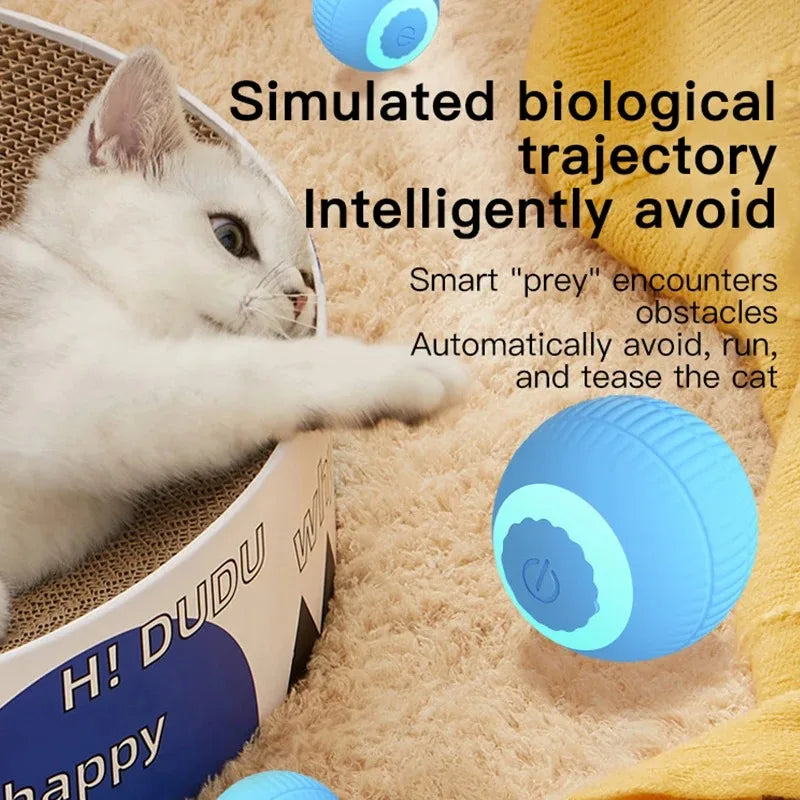 Blue FanzyMarket automatic interactive rolling cat ball toy with self-moving electronic design for kittens.