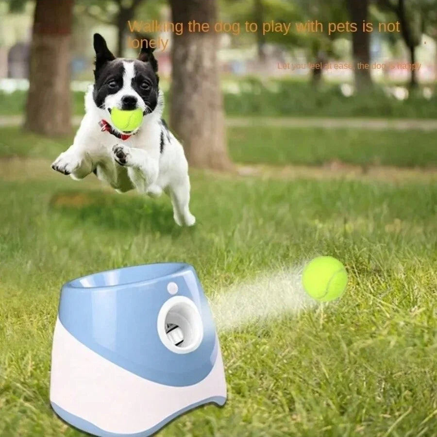FanzyMarket automatic dog ball launcher with blue design, rechargeable USB, and 5.8 cm tennis balls for medium and large dogs.