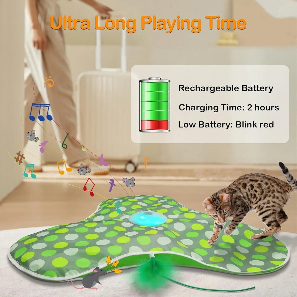 FanzyMarket interactive hide and seek cat toy featuring a motion-activated squeaky mouse and concealed feather wand for playful fun.