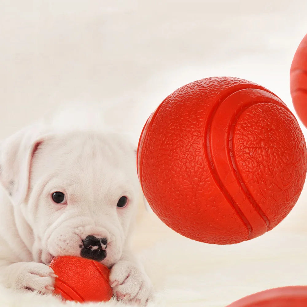 FanzyMarket bite-resistant rubber dog ball toy in red, chew-proof fetch toy for dogs and puppies in sizes S to XL.