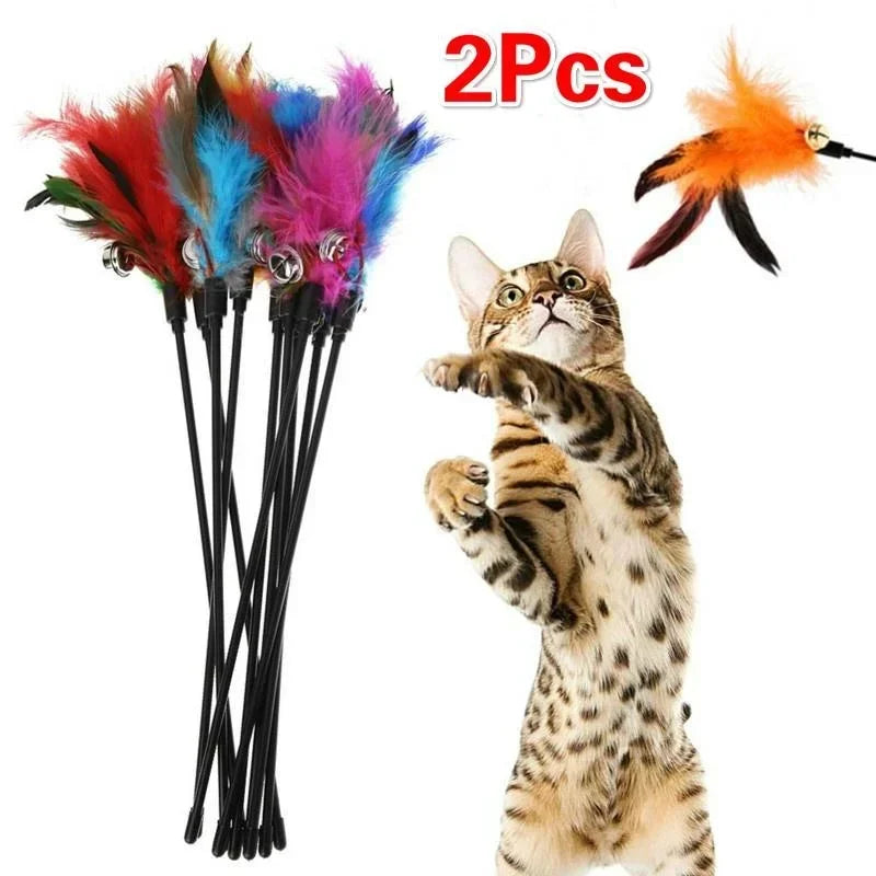 Two Feather Wand cat toys with bells from FanzyMarket, featuring colorful feathers and strings for interactive feline play.