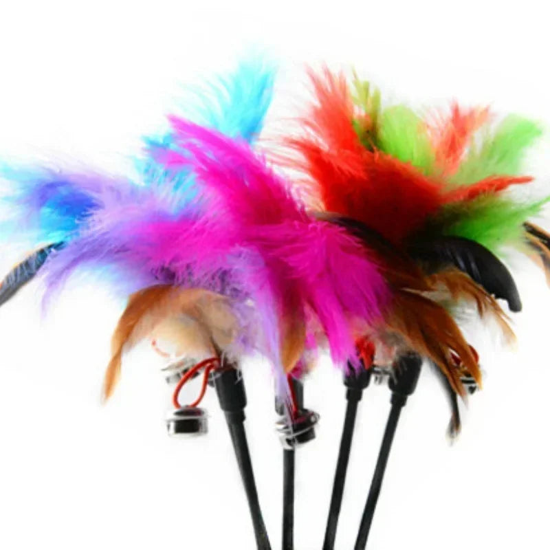 Two feather cat wand toys with bells from FanzyMarket, designed as interactive teaser toys for cats, featuring colorful feathers and bells.