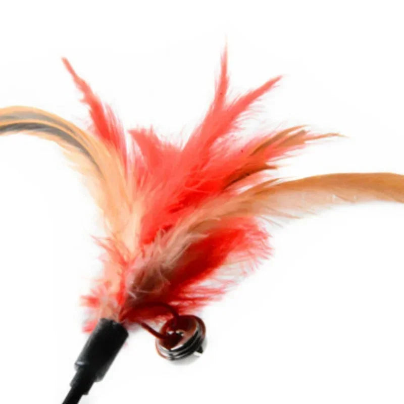 Two Feather Wand cat toys with bells, FanzyMarket interactive cat teaser toys designed to entertain and engage cats during playtime.