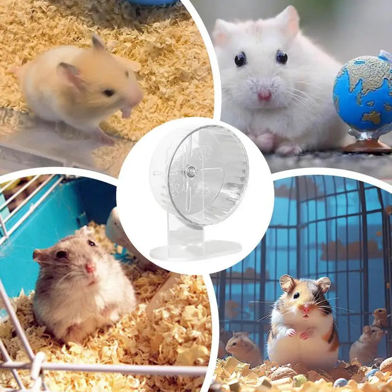 Silent transparent acrylic hamster wheel, 7.1 inches, for hamsters and gerbils, by FanzyMarket, perfect for exercise and play.