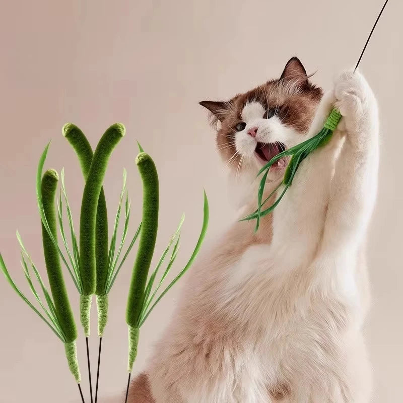 FanzyMarket interactive feather wand cat toy with 50 cm long pole, bite-resistant feathers, and rattle sound for kittens.