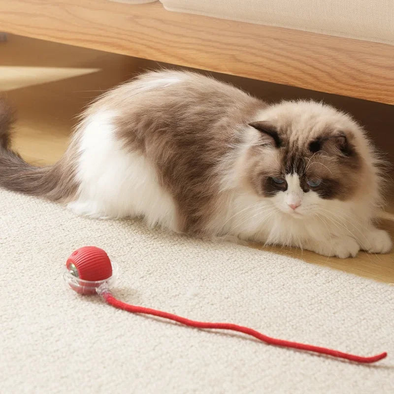 Rechargeable interactive cat ball with tail, automatic rolling pet toy that mimics a mouse, in a 1-3 pack from FanzyMarket.
