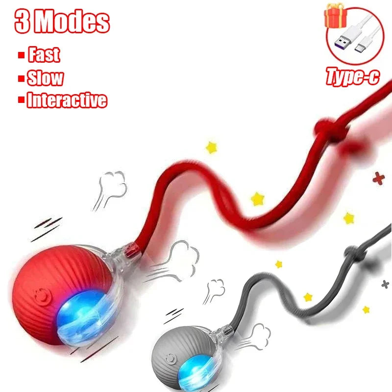 Rechargeable interactive cat ball with tail by FanzyMarket, automatic rolling pet toy that mimics a mouse for feline play.