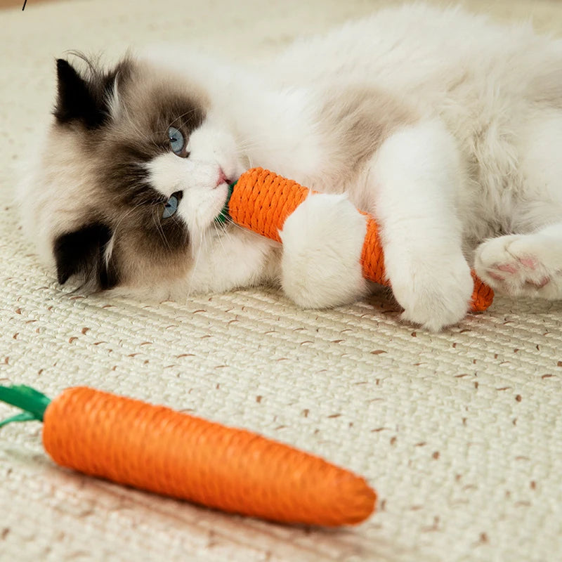 FanzyMarket squeaky carrot cat toy, bite-resistant teething stick for kittens, designed for interactive self-play and fun.