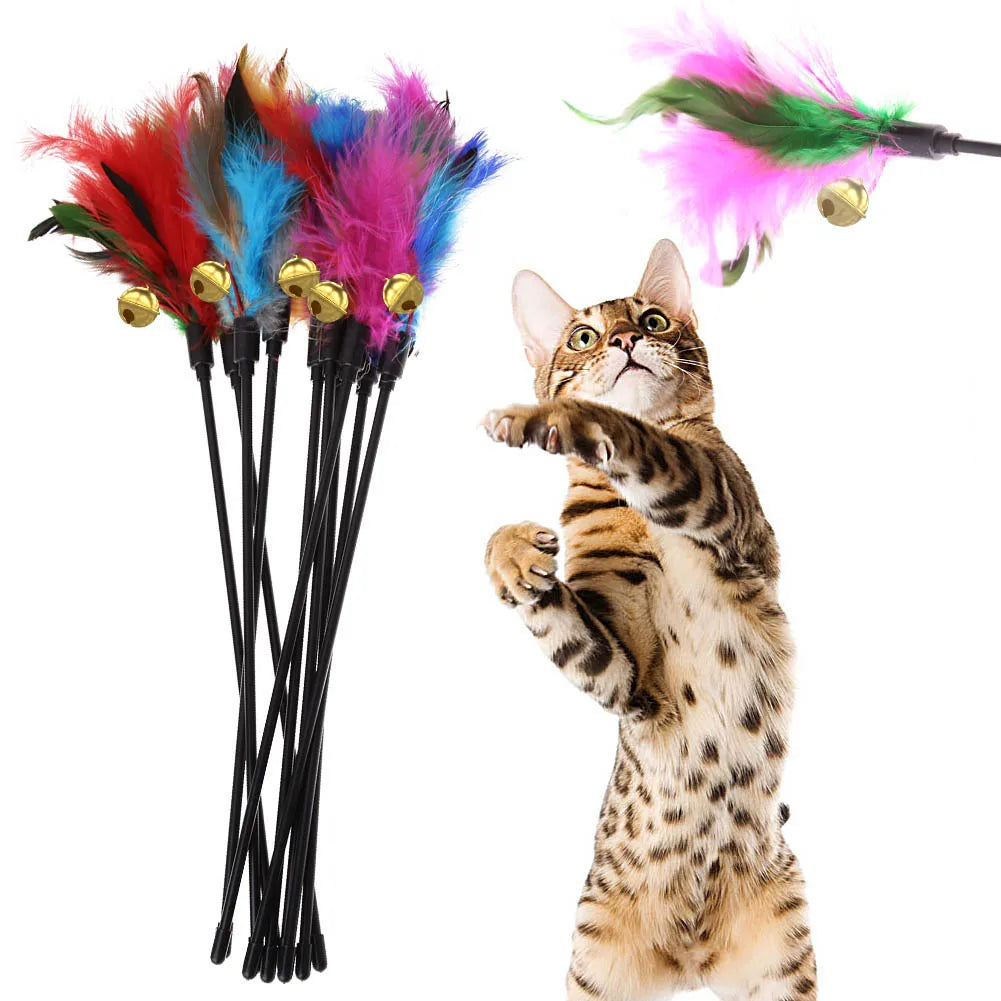 Colorful 5-pack cat feather wand toys with bells, featuring interactive feathers for cats and kittens to play and chase.