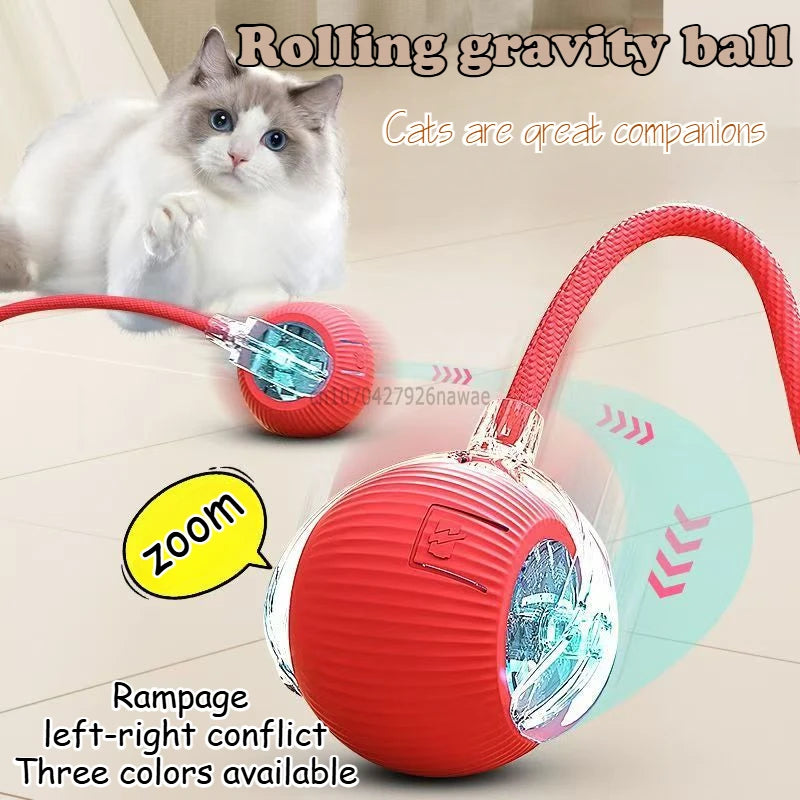FanzyMarket automatic rolling ball cat toy with silicone surface, USB-C rechargeable, interactive prey-simulating toy for cats.