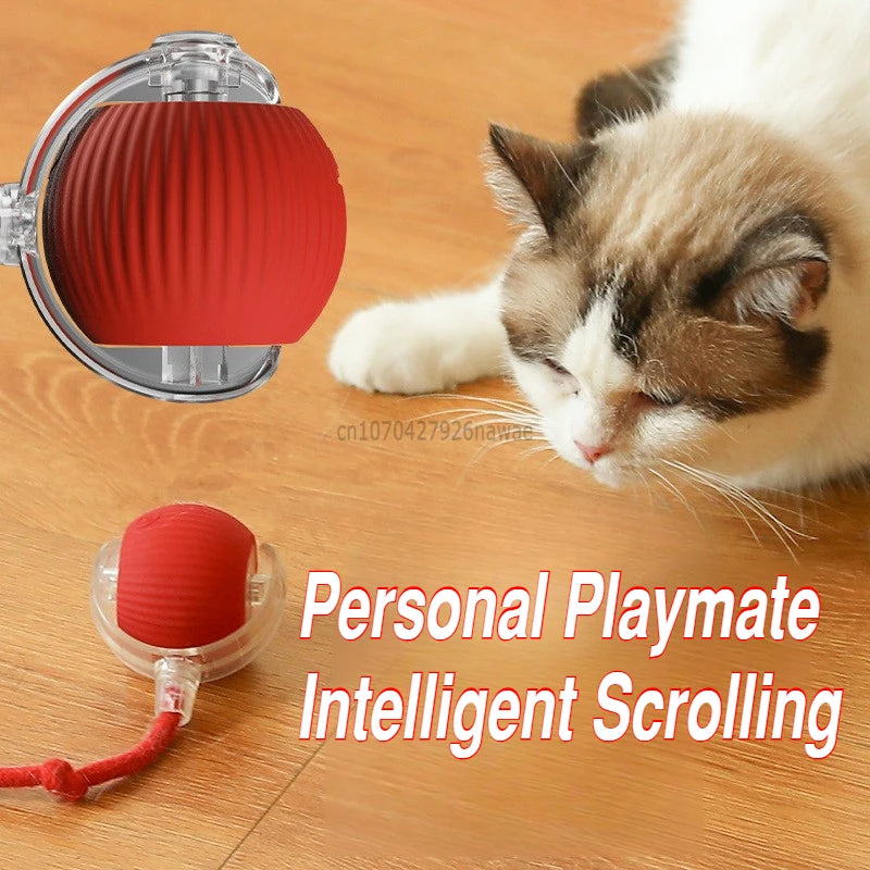 FanzyMarket automatic rolling ball cat toy with silicone surface, rechargeable USB-C, interactive prey-simulating toy for cats.